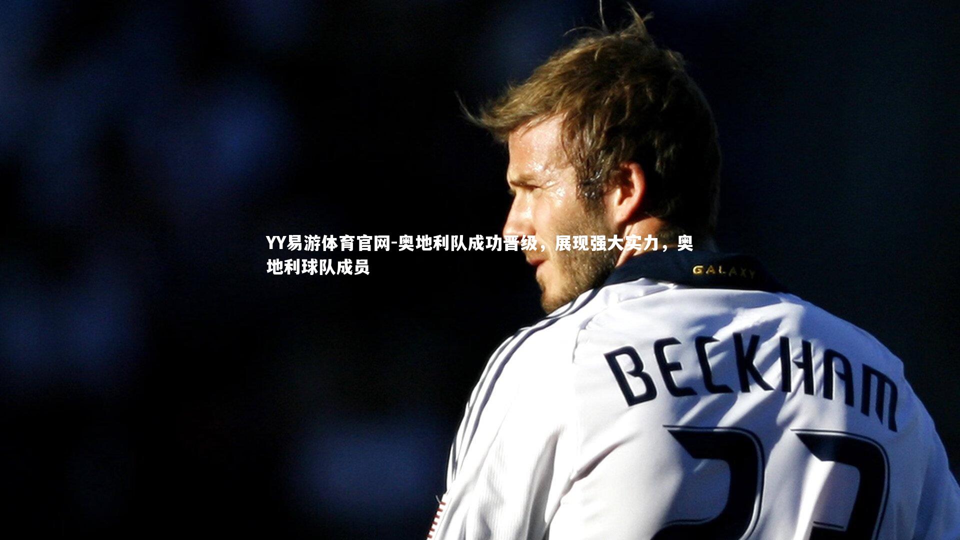 奥地利队成功晋级，展现强大实力，奥地利球队成员