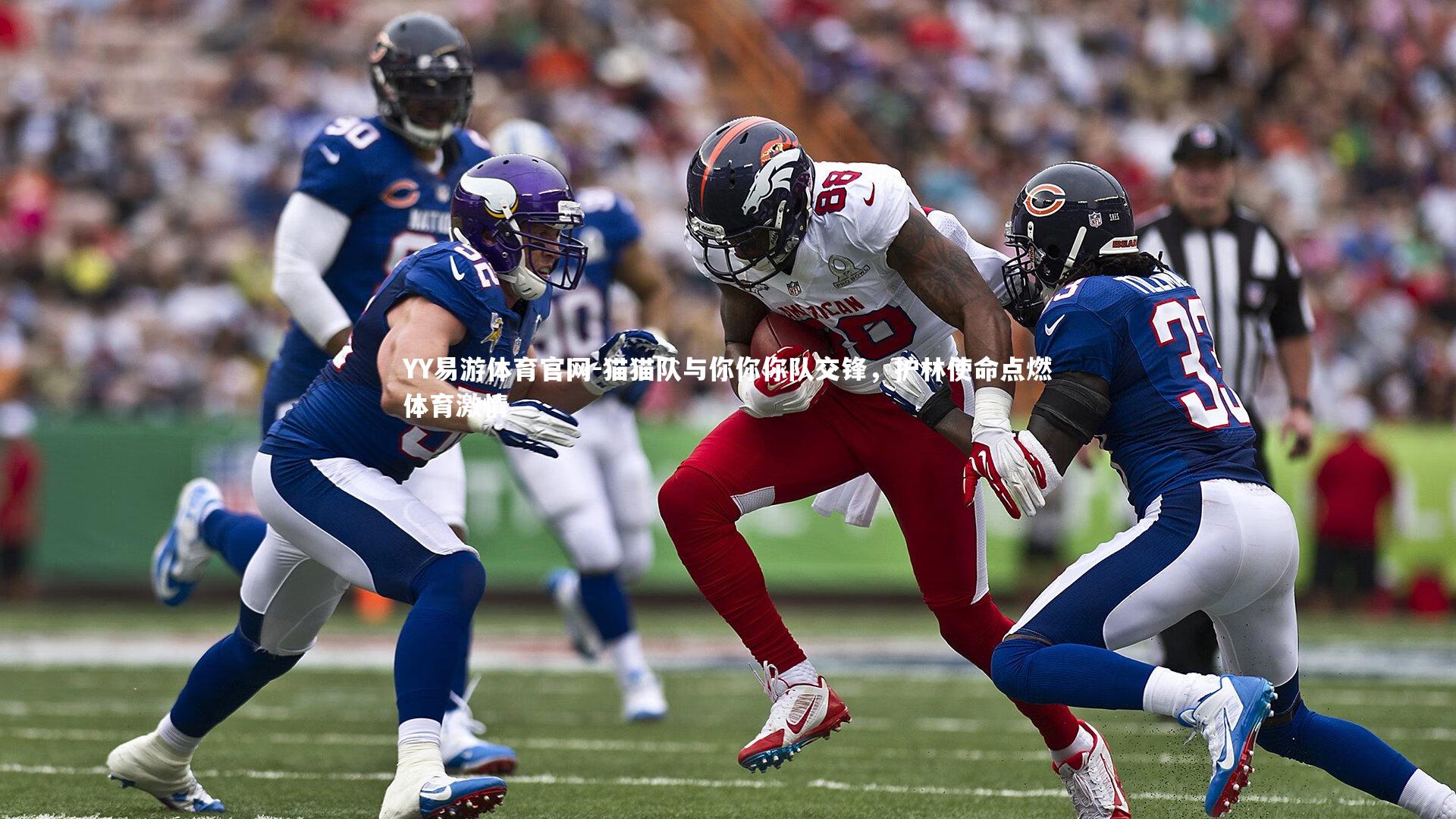 猫猫队与你你你队交锋,护林使命点燃体育激情