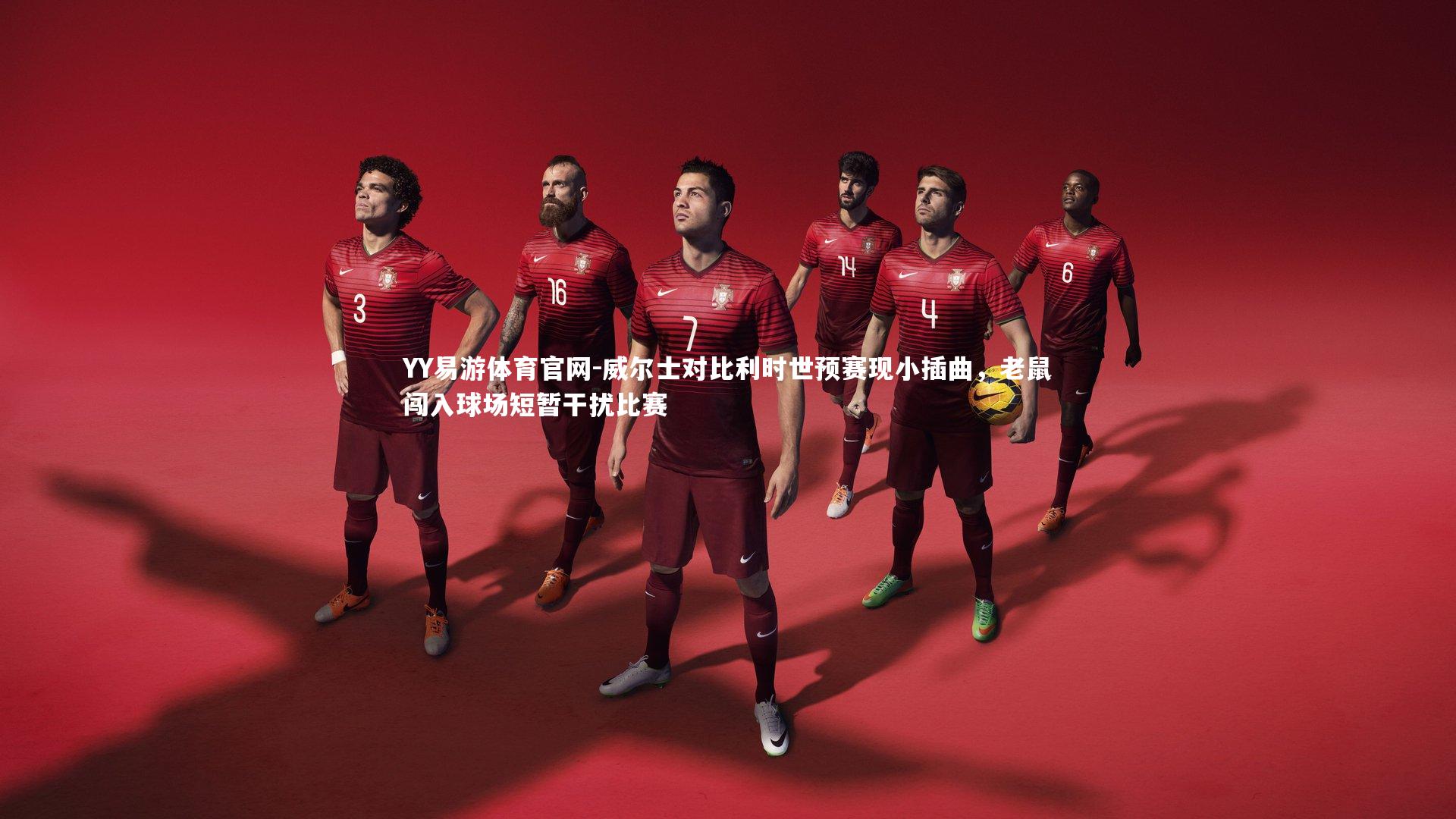 威尔士对比利时世预赛现小插曲,老鼠闯入球场短暂干扰比赛